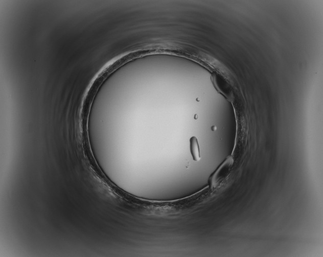 X0000086310784200704131630