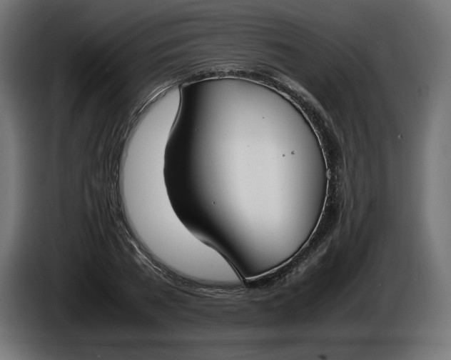 X0000086310785200704131630