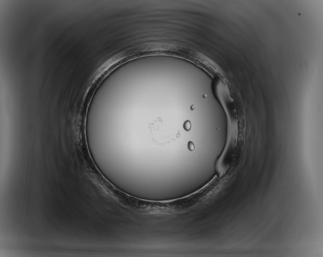 X0000086310786200704131630