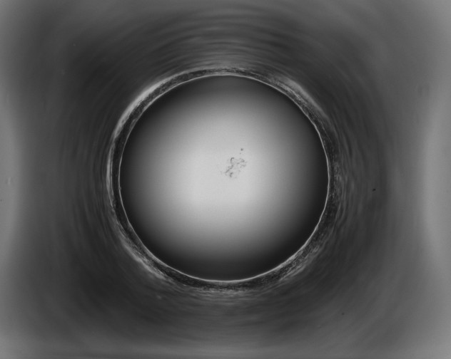 X0000086310788200704131630