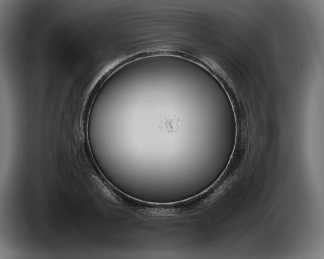 X0000086310789200704131630