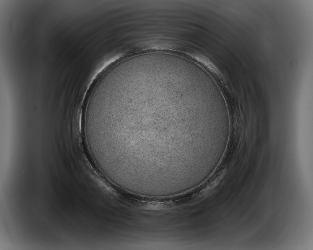 X0000086310790200704131630
