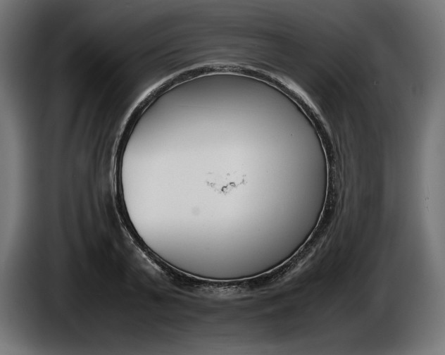 X0000086310791200704131630