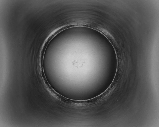 X0000086310792200704131630