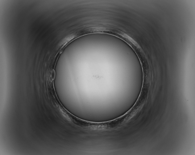X0000086310793200704131630