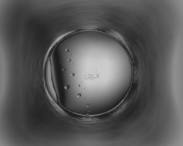 X0000086310795200704131630