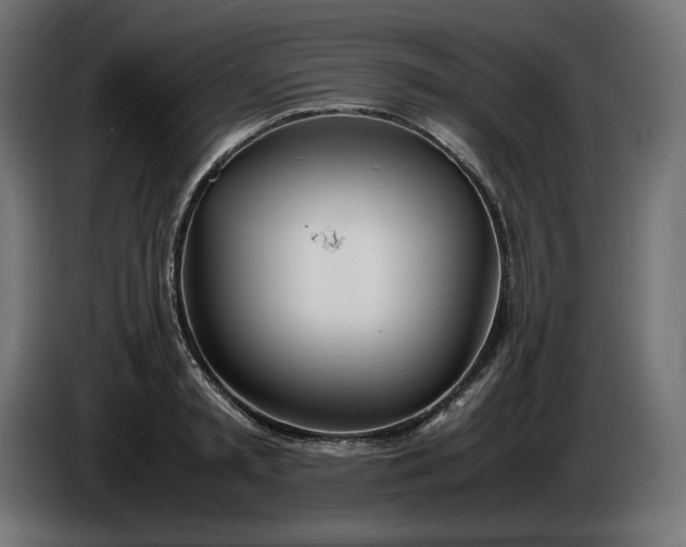 X0000086310797200704131630