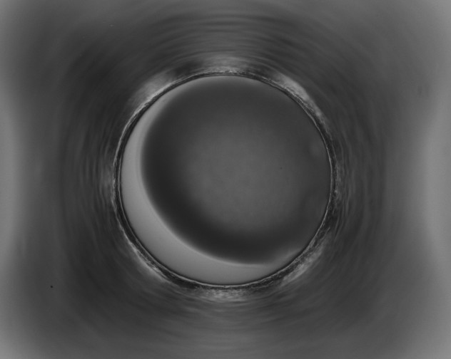 X0000086310802200704131630