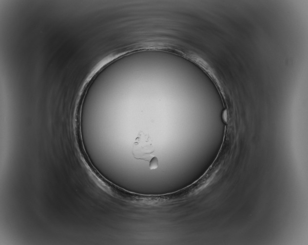 X0000086310803200704131630