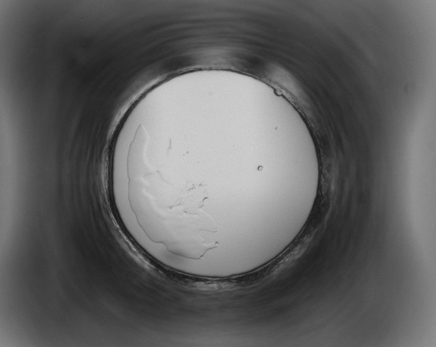 X0000086310804200704131630