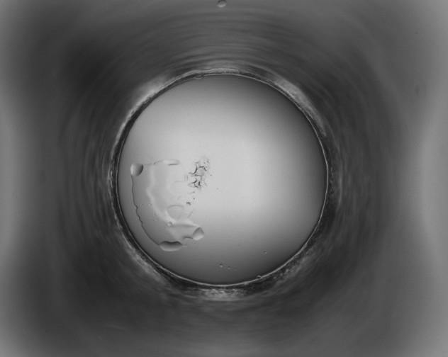 X0000086310805200704131630