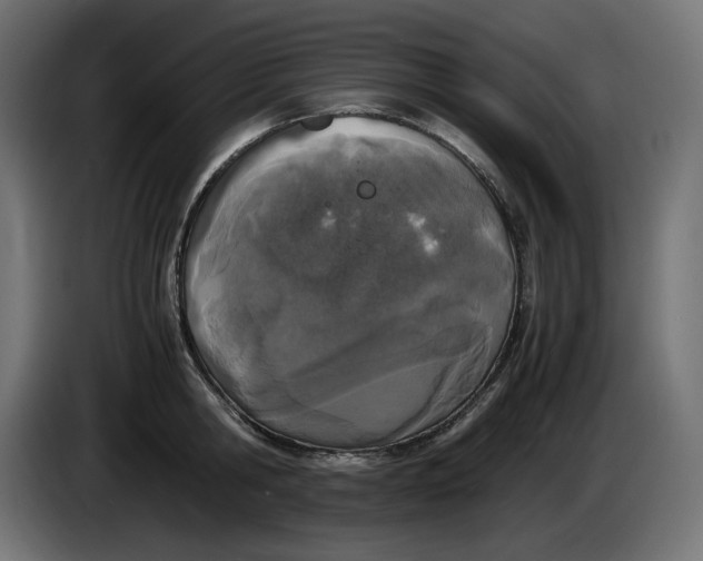 X0000086310806200704131630