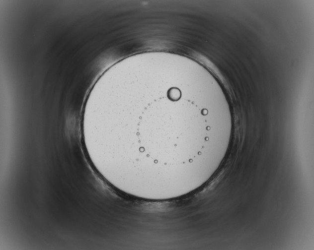 X0000086310810200704131630