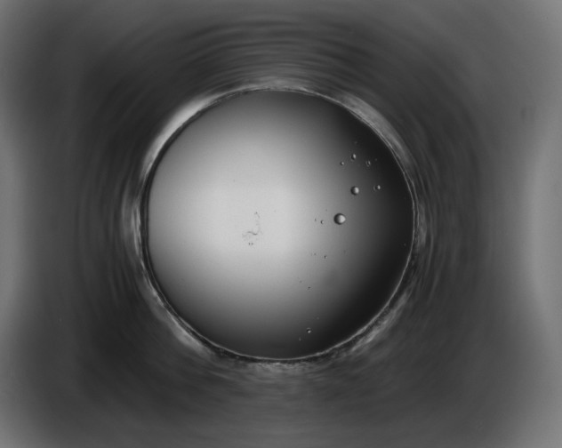 X0000086310812200704131630