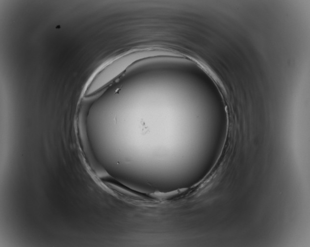 X0000086310813200704131630