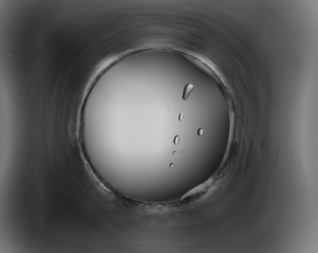 X0000086310815200704131630