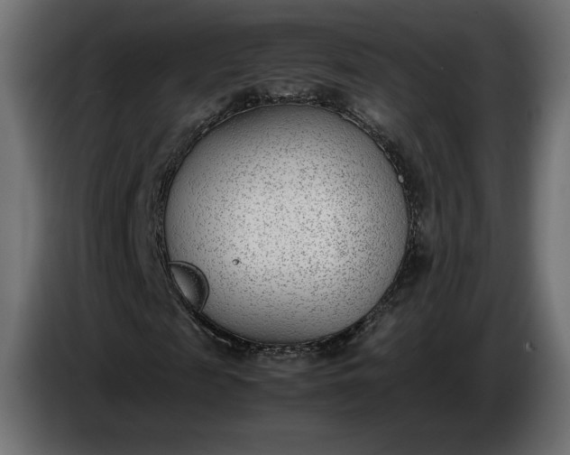 X0000086310817200704131629