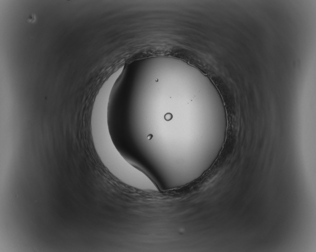 X0000086310818200704131629