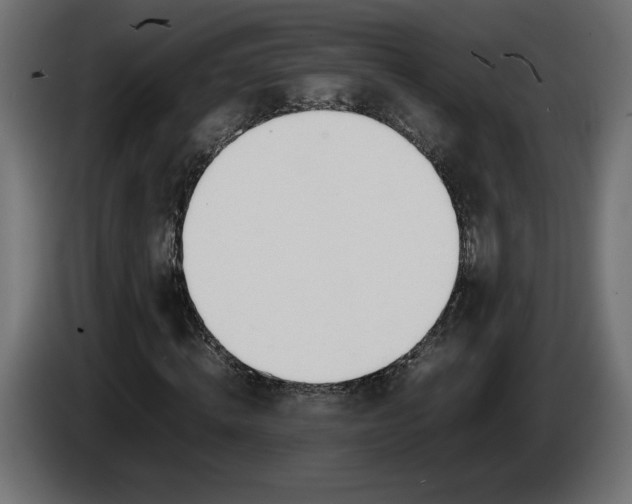 X0000086310820200704131629