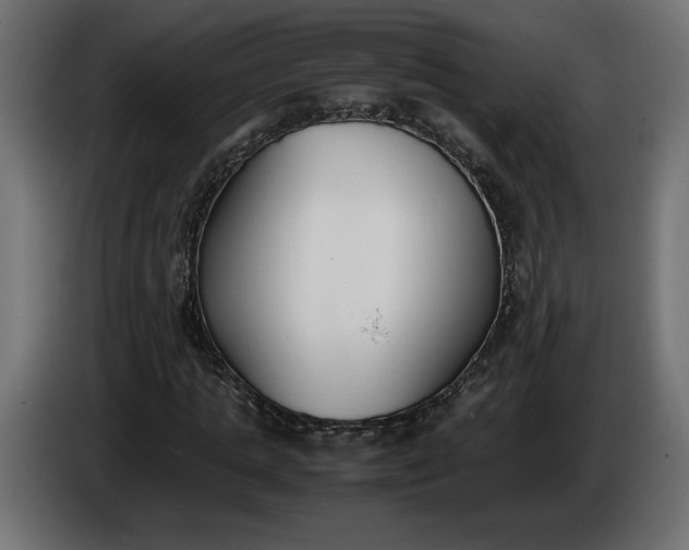 X0000086310821200704131629