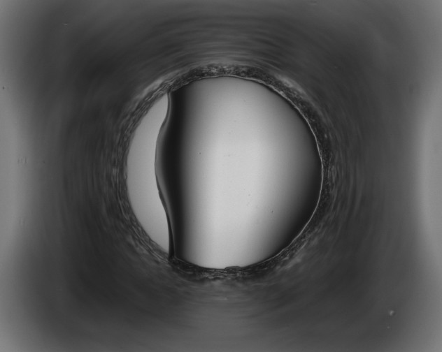 X0000086310822200704131629