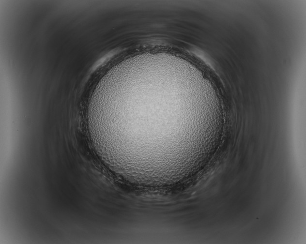 X0000086310823200704131629