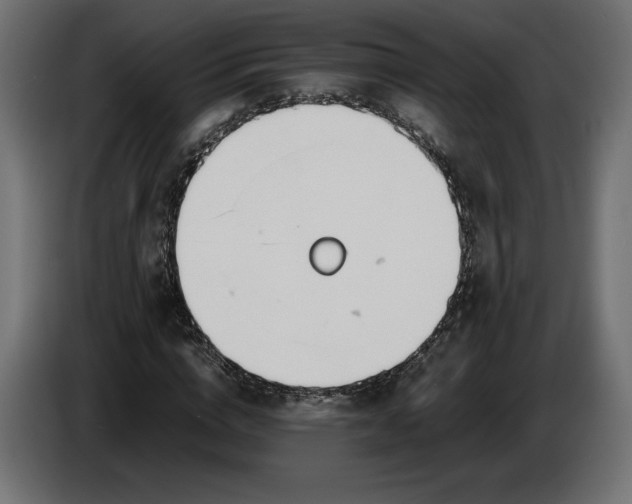 X0000086310824200704131629