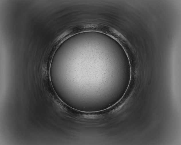 X0000086310825200704131629