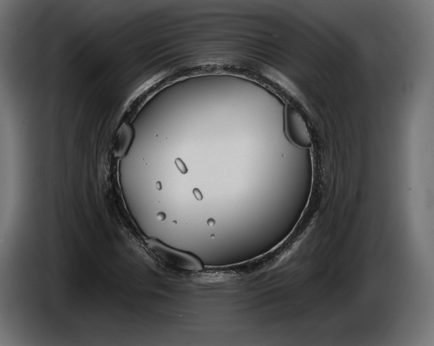 X0000086310826200704131629