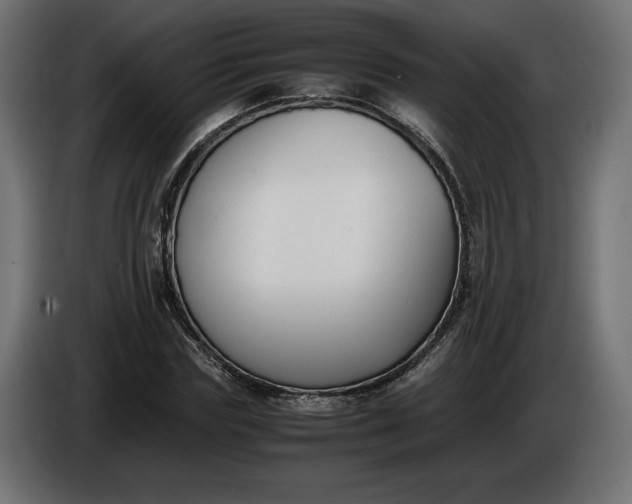 X0000086310827200704131629