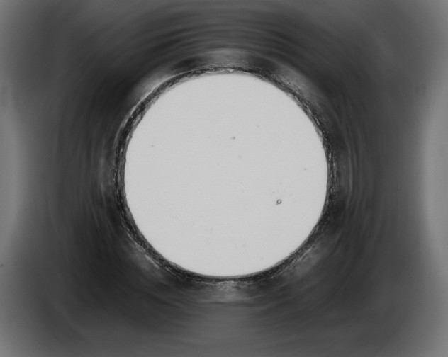 X0000086310828200704131629