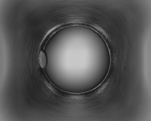 X0000086310830200704131629