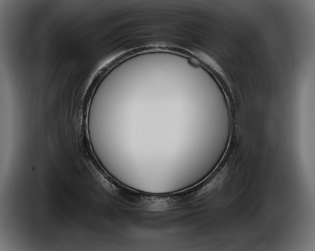 X0000086310831200704131629