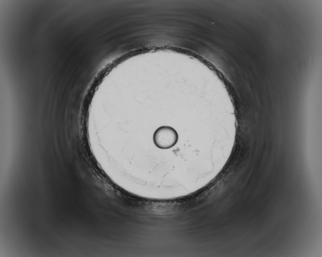 X0000086310832200704131629