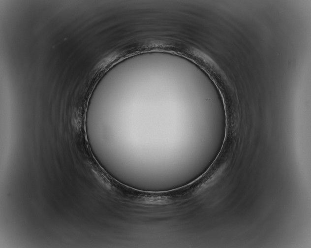 X0000086310833200704131629