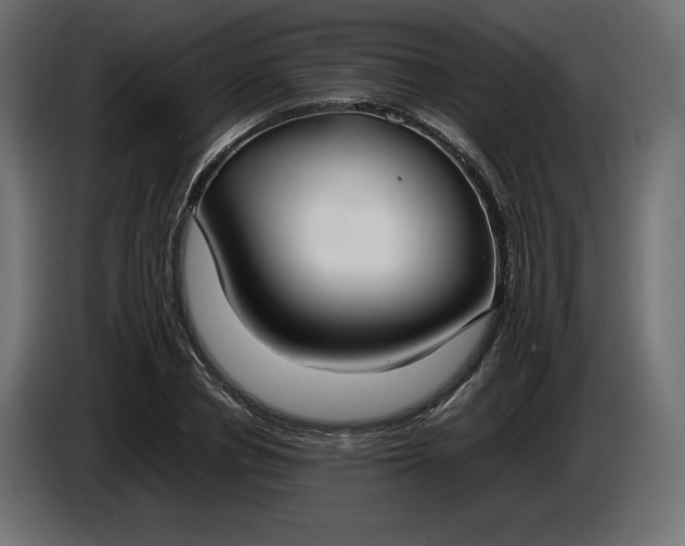 X0000086310834200704131629