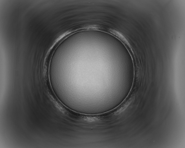 X0000086310835200704131629