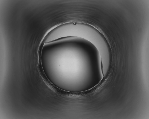 X0000086310838200704131630