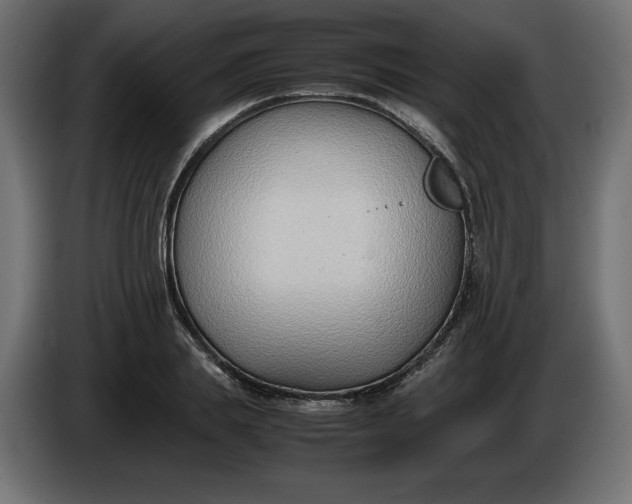 X0000086310839200704131630