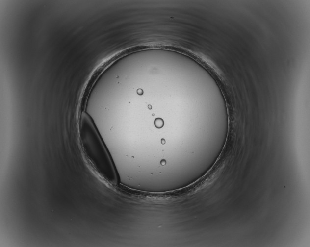 X0000086310840200704131630