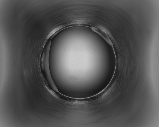 X0000086310842200704131630
