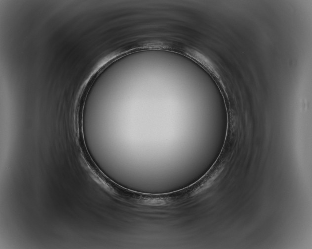 X0000086310843200704131630