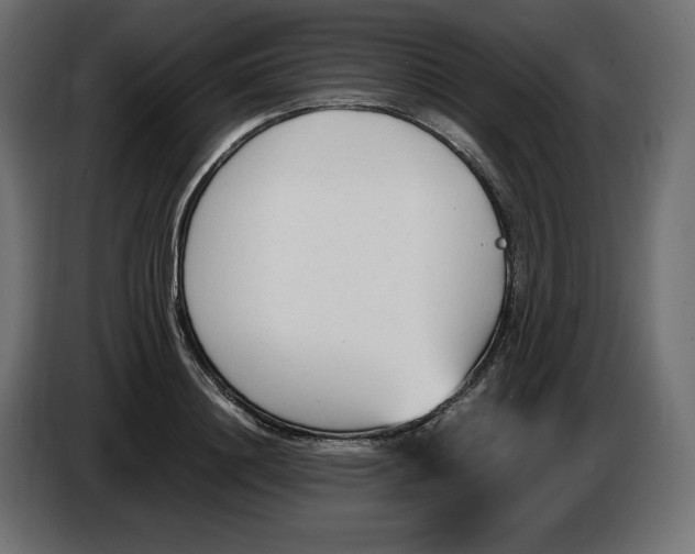 X0000086310844200704131630