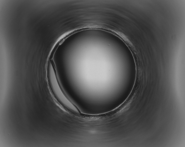 X0000086310846200704131630