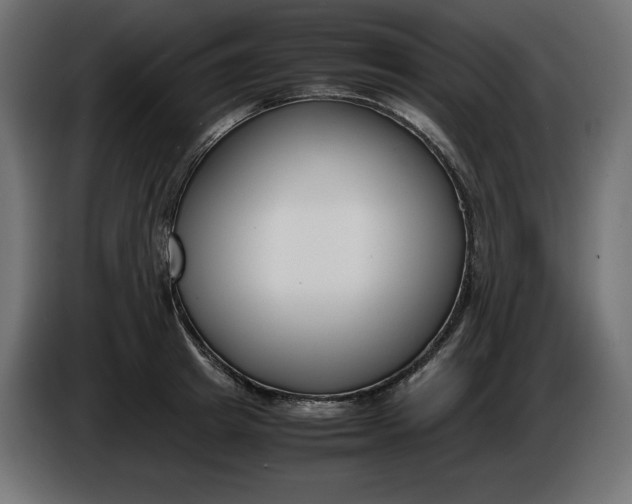X0000086310849200704131630