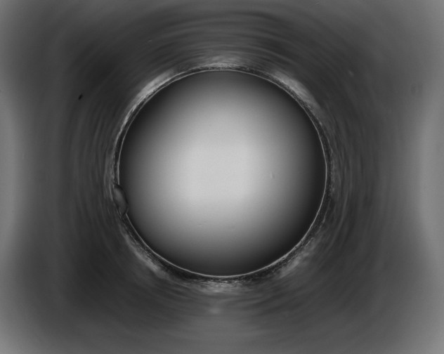 X0000086310850200704131630