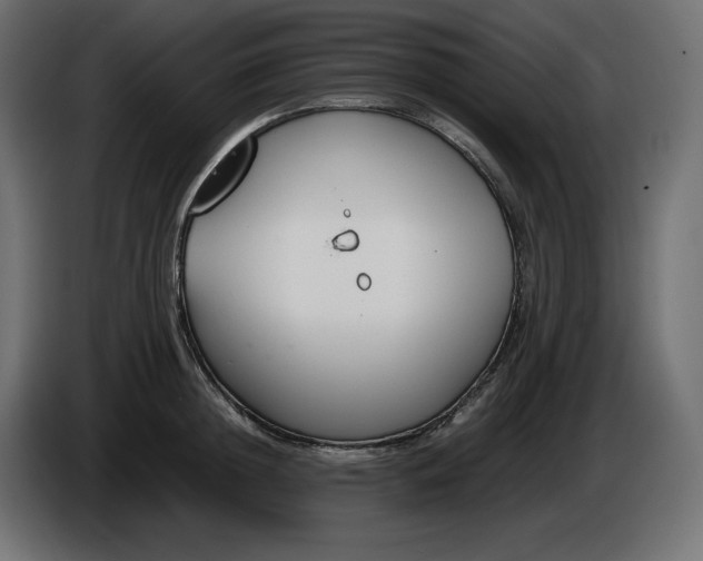 X0000086310852200704131630