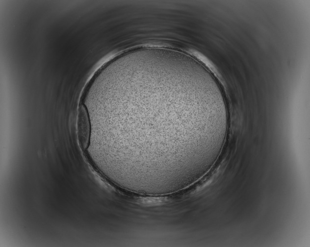 X0000086310853200704131630