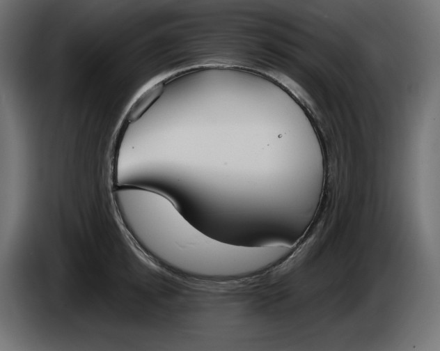 X0000086310854200704131630