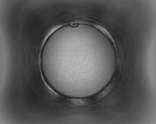 X0000086310855200704131630